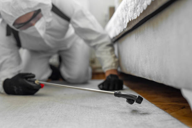 Professional Bed Bug Control technician working in Port St. Joe, FL