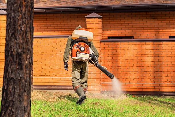 Trusted Mosquito Control service in Port St. Joe, FL - Nex Pest Control